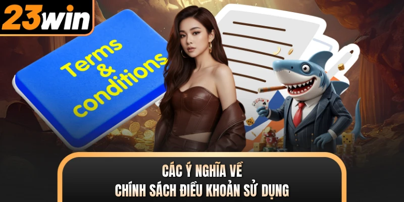 Các ý nghĩa về chính sách điều khoản sử dụng